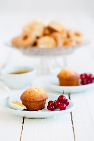 Semper minimuffins produktbilde