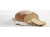 splash-bread_oats_and_sesame