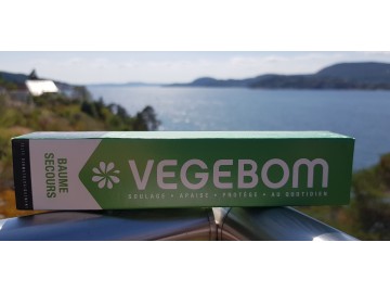 Vegebom salve