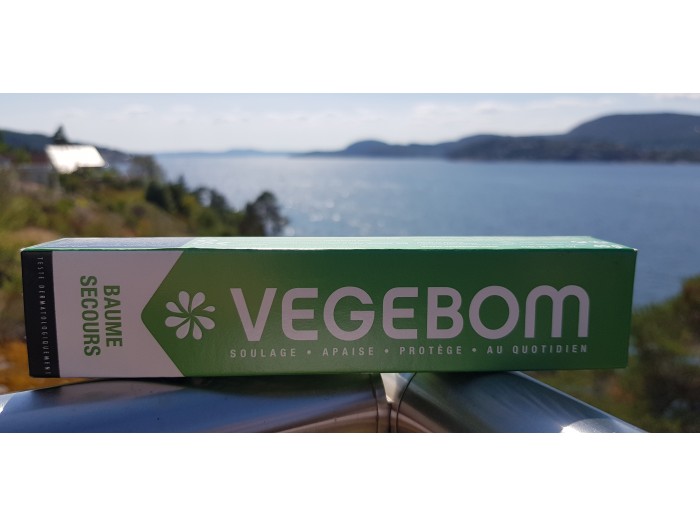 Vegebom salve
