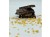 premium-with-honeycomb_540x