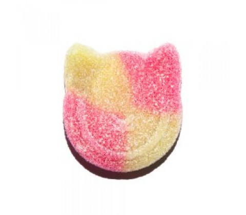 CANDY KITTENS