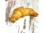 fresh-croissant