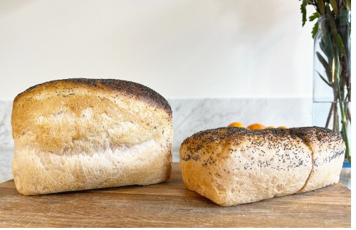 Presentation_SoftBake 1