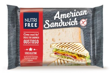 american-sandwich-2