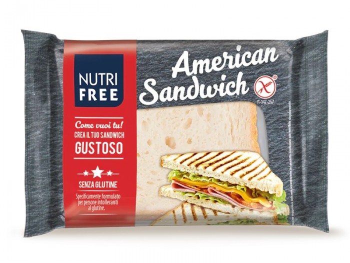 american-sandwich-2